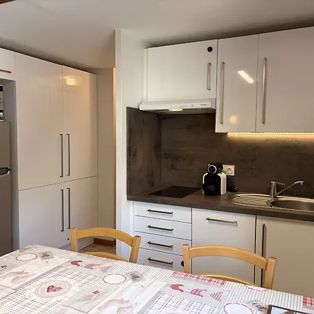 Apartamento Duplex Rénové, 4/5 Pers, Garage, Proche Centre, Pistes Et Commerces. - Fr-1-572-60